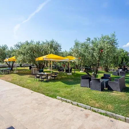 Zeytin Bahcesi