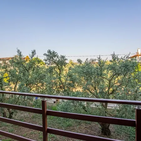 Zeytin Bahcesi فندق