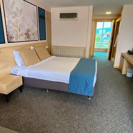 Zeytin Bahcesi Iznik