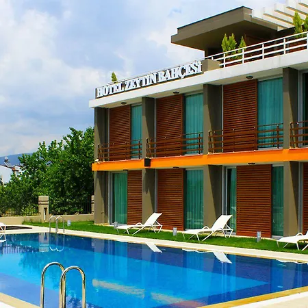 Zeytin Bahcesi 3*