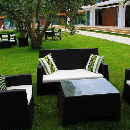 Zeytin Bahcesi