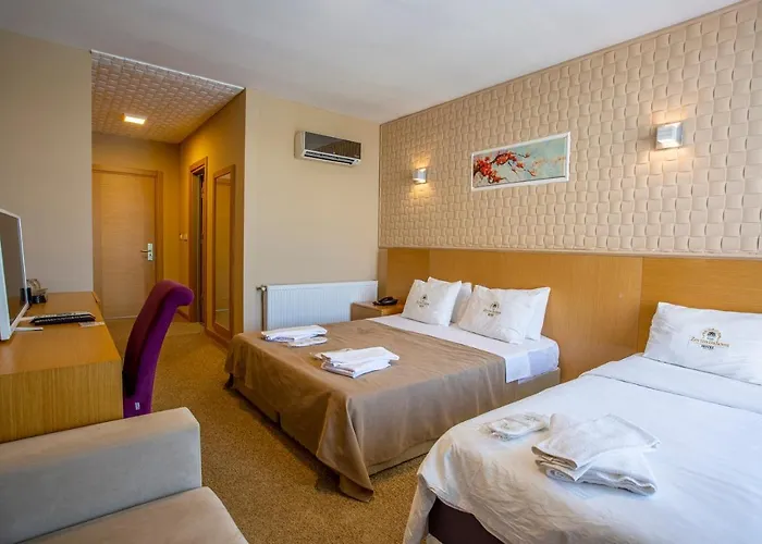 Zeytin Bahcesi Iznik