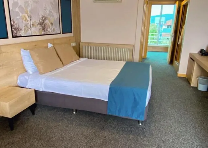 Zeytin Bahcesi Iznik